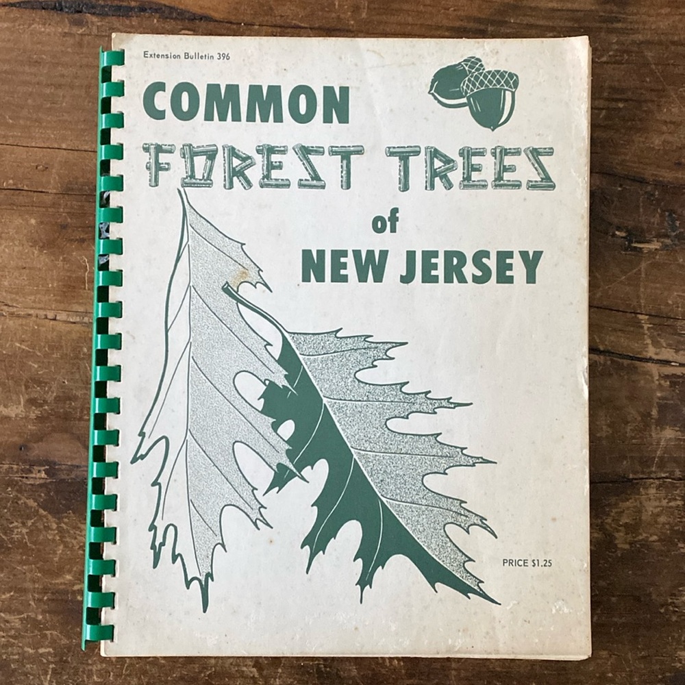 1921 Common Forest Trees of New Jersey Book